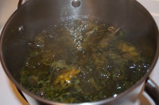 Herbal decoction for varicose veins