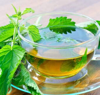 infusion of nettle against varicose veins